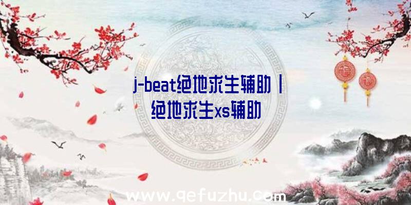 「j-beat绝地求生辅助」|绝地求生xs辅助